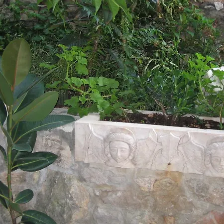 Apartment Domus Marini *
