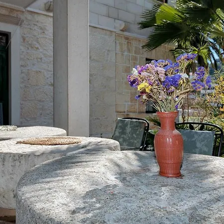 Domus Marini *
