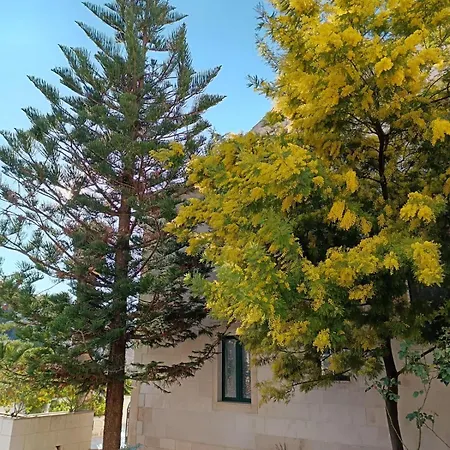 Domus Marini חוואר